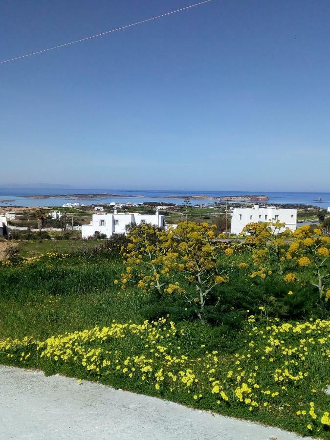 Traditional House Paros Sarakiniko  Ngoại thất bức ảnh